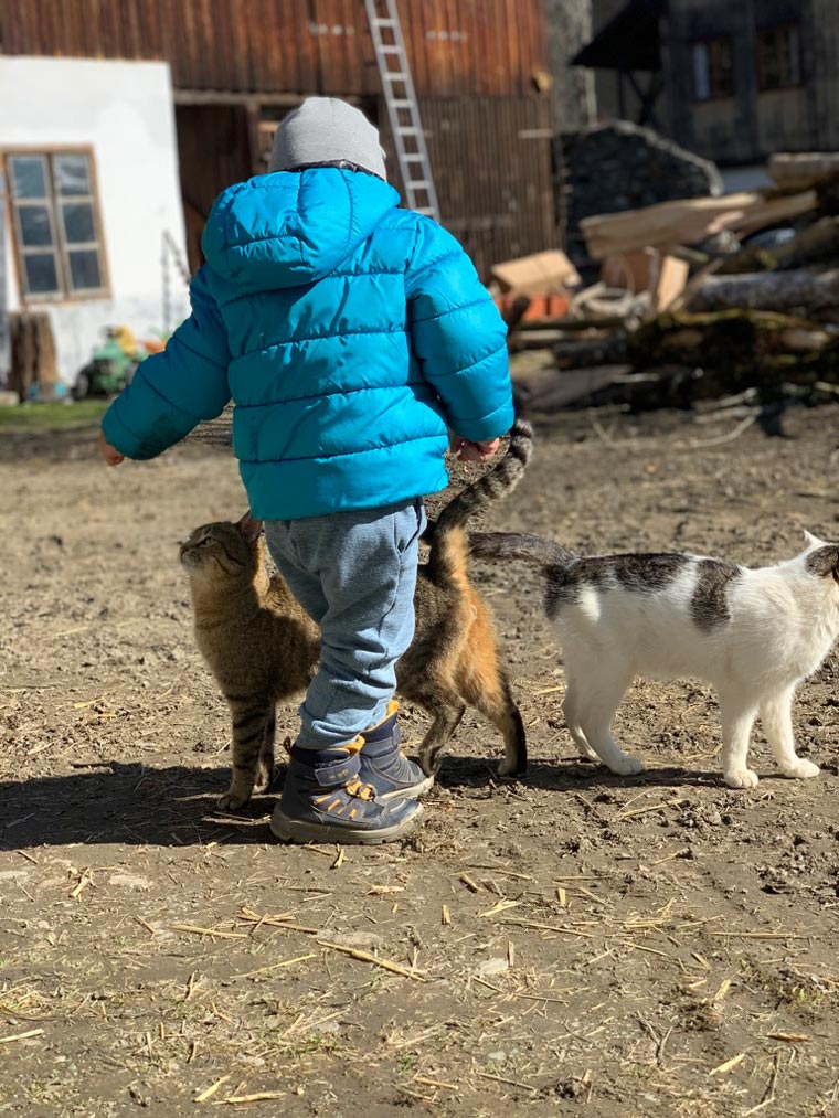Kind-Katzen